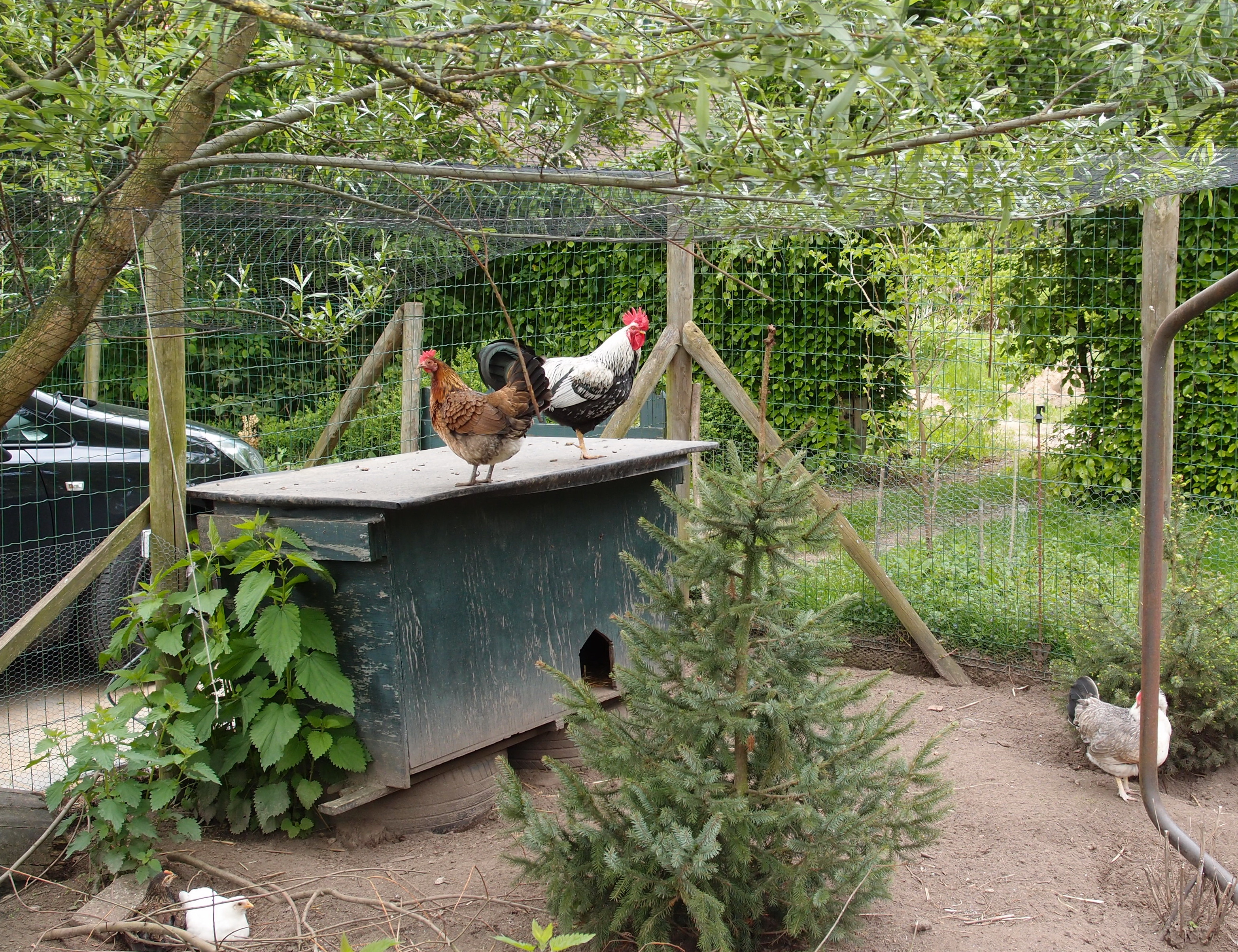 HWK 2012 Hummelo 005.jpg